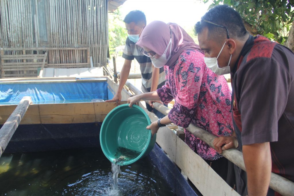 Wawali Apresiasi DPRD dan Dinas PKP Parepare Gairahkan Ekonomi Masyarakat Lewat Budidaya Ikan Lele