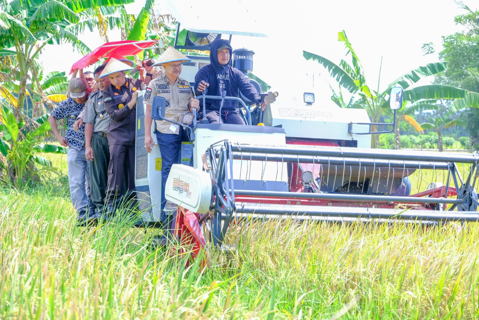 Panen Raya, Bupati Jeneponto Iksan Iskandar : Stok Beras Aman Terkendali