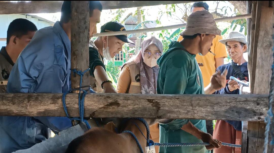 Dinas PKP Pemkot Parepare Perketat Pengawsan Hewan Ternak Jelang Iduladha