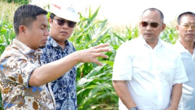 KIPAS Jadi Proyek Strategis, Wali Kota Parepare Tasming Hamid Ajak PT KIMA dan PT KBI Lihat Langsung Lokasi