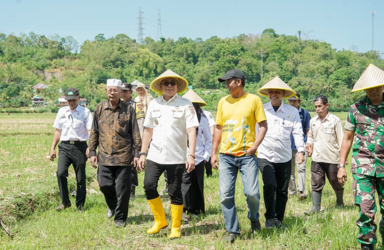 Turun ke Sawah, Wabup Abustan Andi Bintang Ajak Petani Barru Lestarikan Tradisi Mappalili