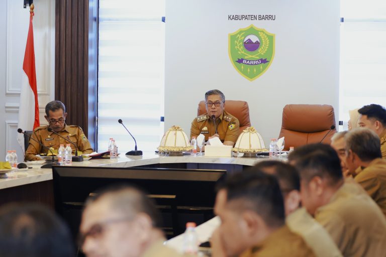 Wakil Bupati Barru Abustan Pimpin High Level Meeting Tim Percepatan dan Perluasan Digitalisasi Daerah